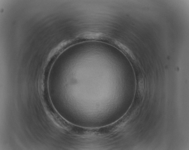 X0000086220682200704051241