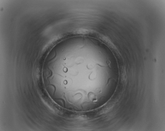 X0000086220683200704051241