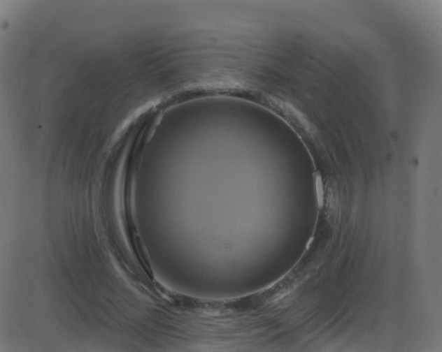 X0000086220684200704051241