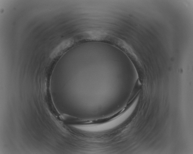 X0000086220685200704051241