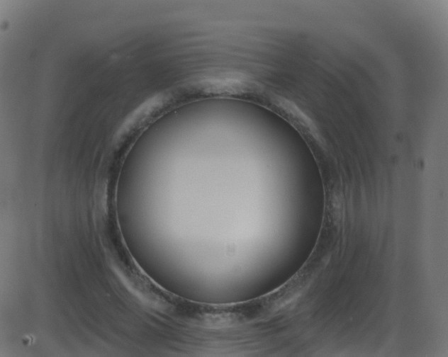 X0000086220686200704051241