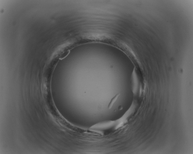 X0000086220688200704051241