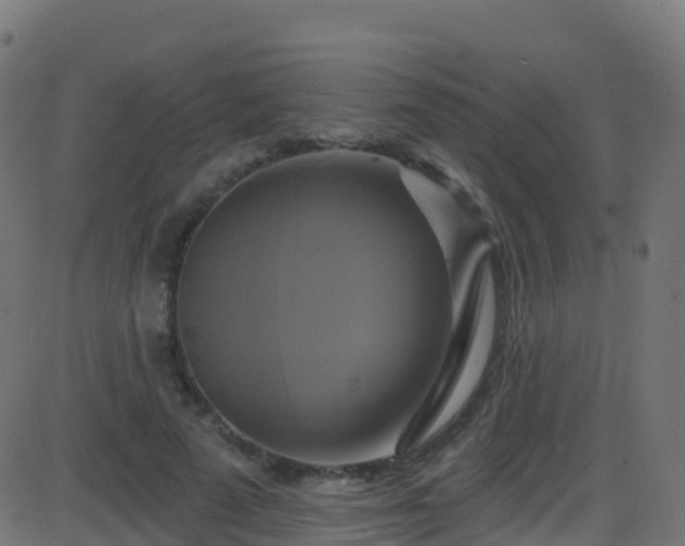 X0000086220689200704051241