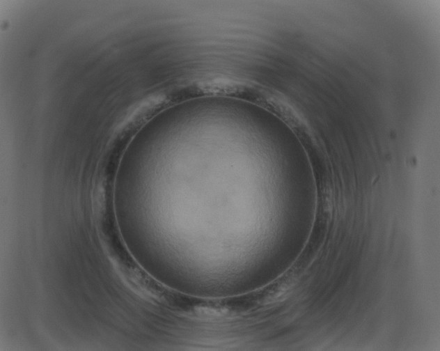 X0000086220690200704051241