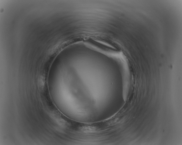 X0000086220691200704051241