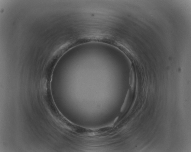 X0000086220692200704051241