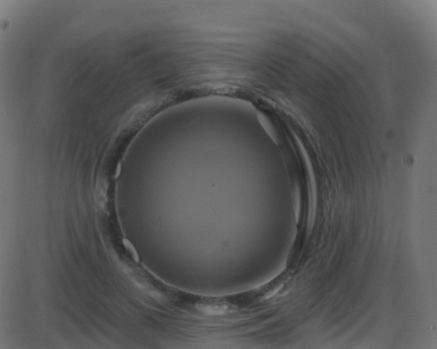 X0000086220693200704051241