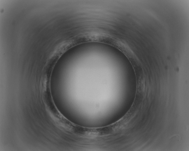 X0000086220694200704051240