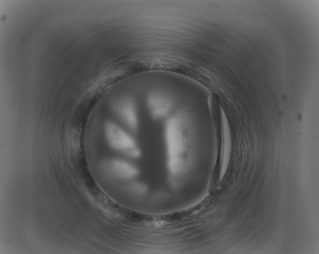 X0000086220695200704051240