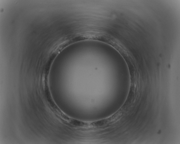 X0000086220696200704051240