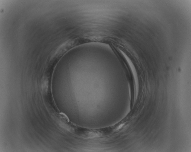 X0000086220697200704051240