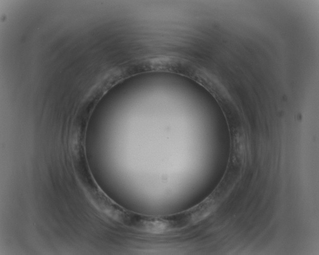 X0000086220698200704051240