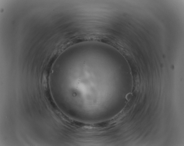 X0000086220699200704051240