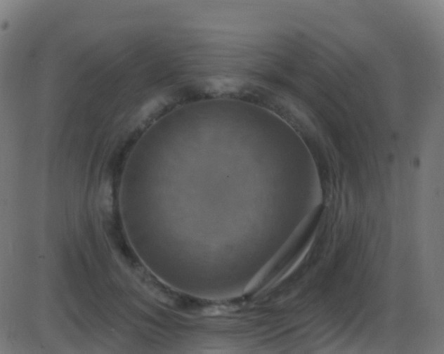 X0000086220700200704051240