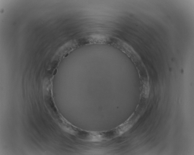 X0000086220701200704051240