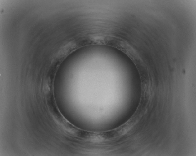 X0000086220702200704051240