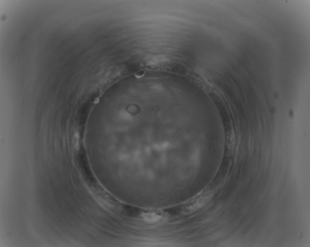 X0000086220703200704051240