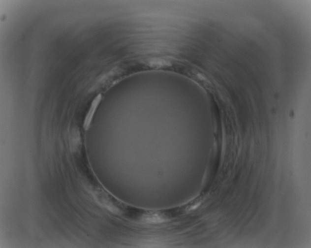 X0000086220704200704051240