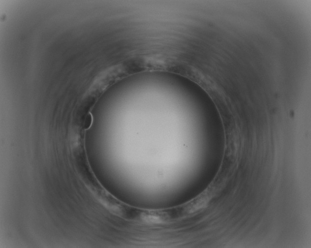 X0000086220706200704051240