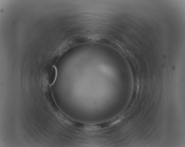 X0000086220707200704051240