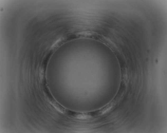 X0000086220708200704051240