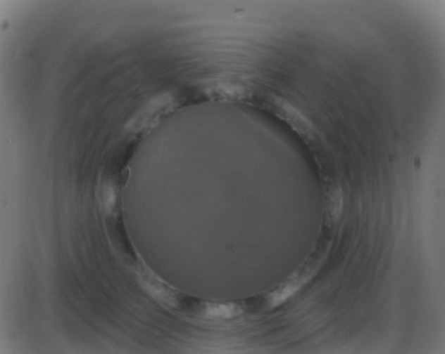 X0000086220709200704051240