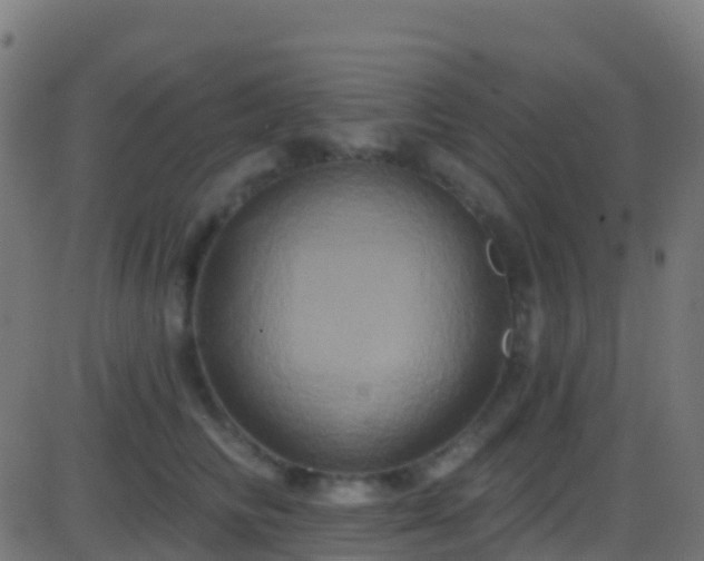 X0000086220710200704051240