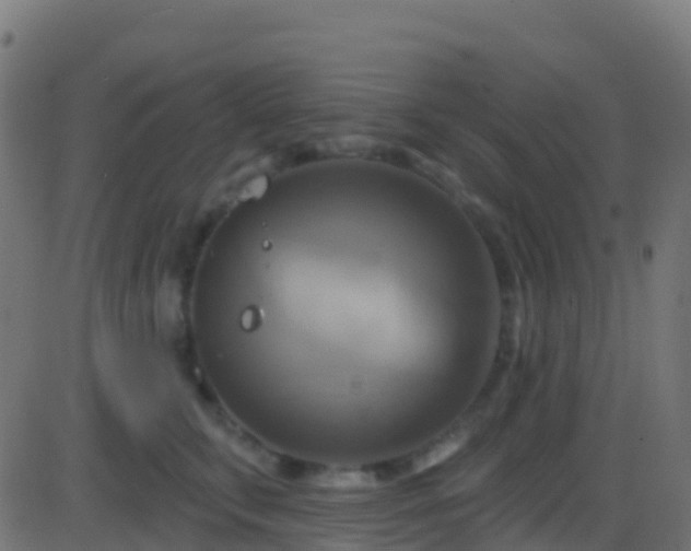 X0000086220711200704051240