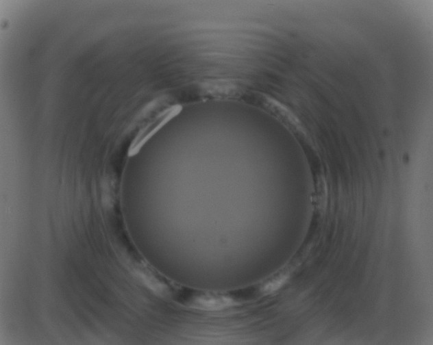 X0000086220712200704051240