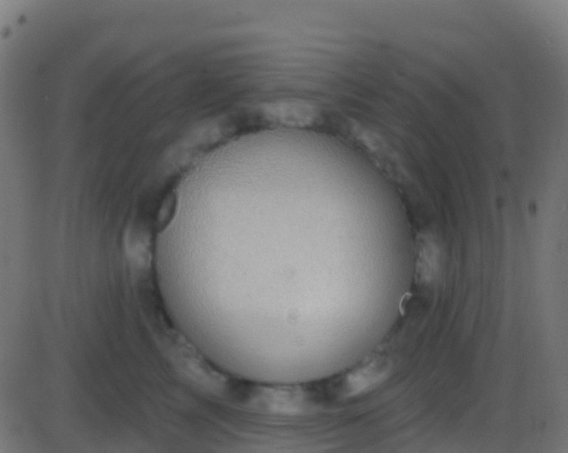 X0000086220713200704051240