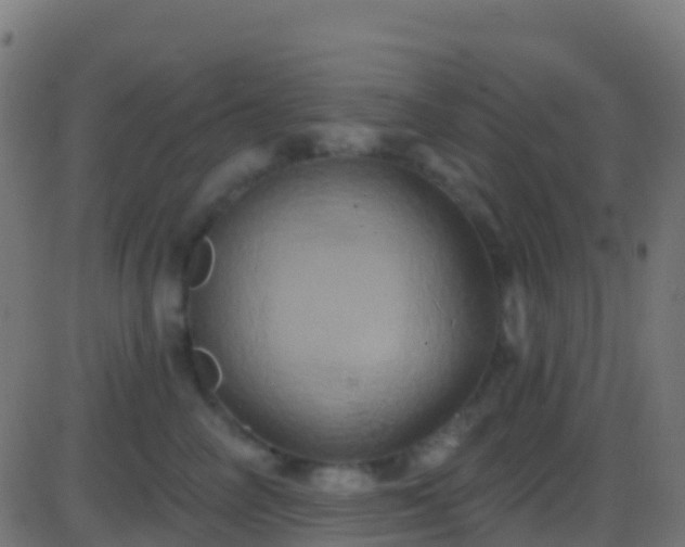 X0000086220714200704051240