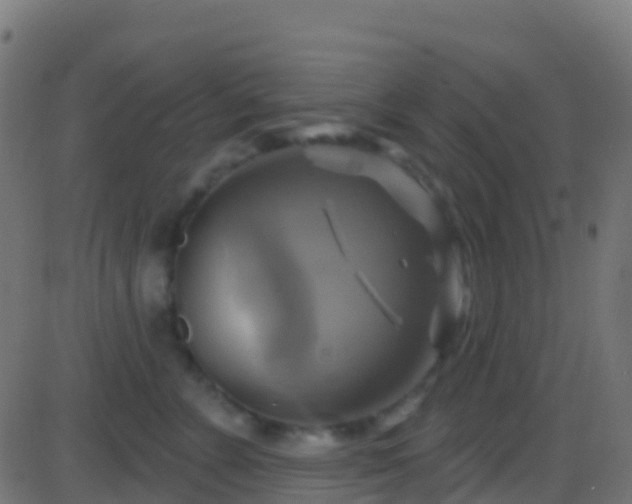 X0000086220715200704051240