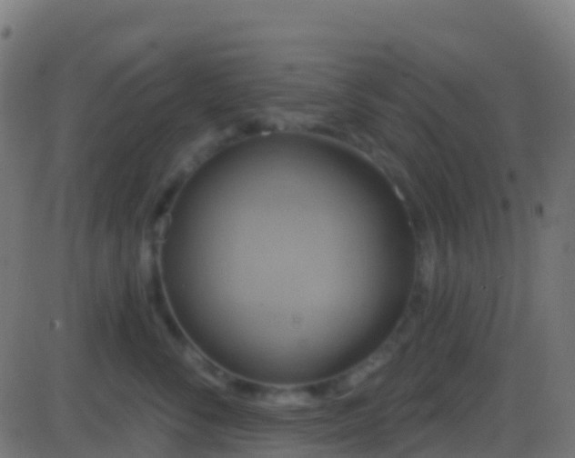 X0000086220716200704051240