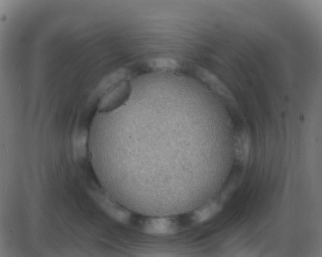 X0000086220717200704051240