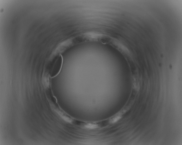 X0000086220718200704051240