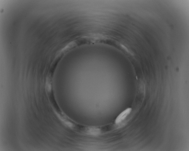 X0000086220719200704051240