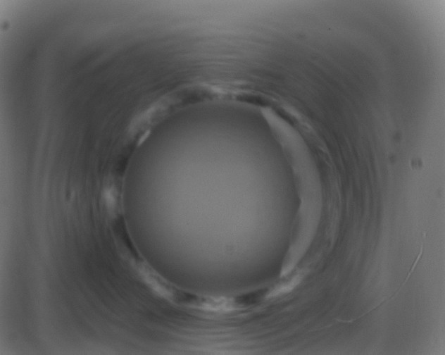 X0000086220720200704051240