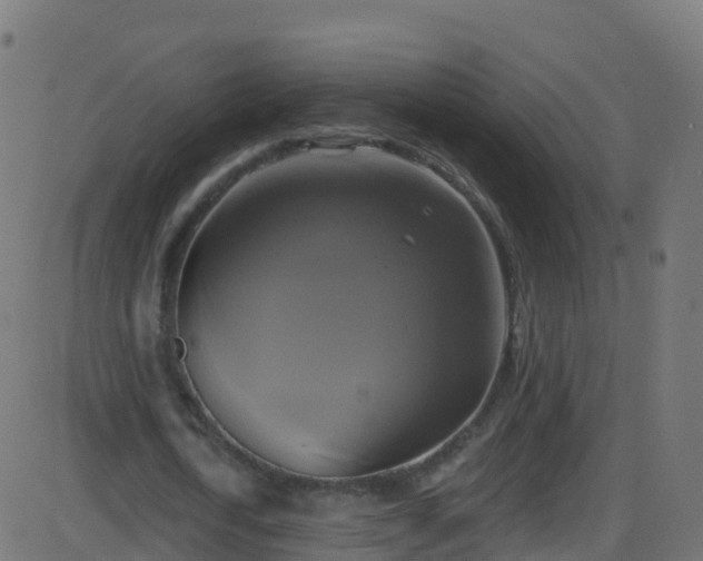 X0000086220722200704051239