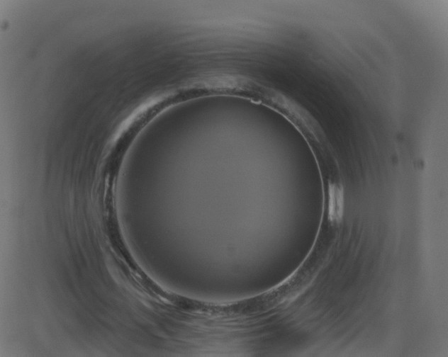 X0000086220723200704051239