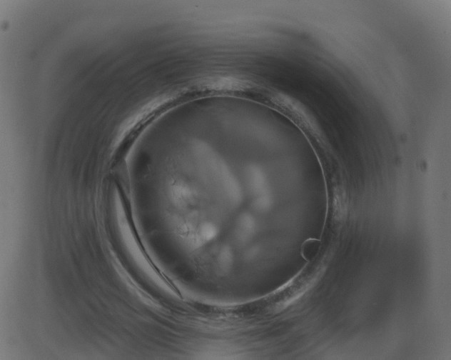 X0000086220725200704051239