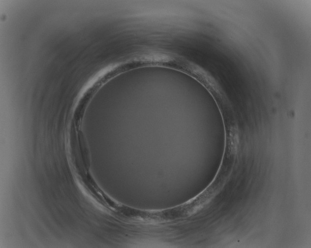 X0000086220726200704051239