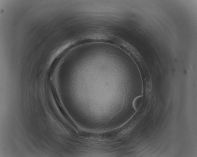 X0000086220727200704051239