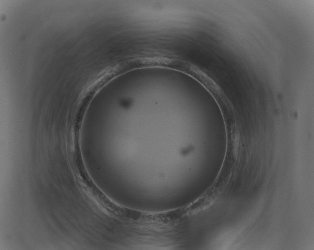 X0000086220729200704051239