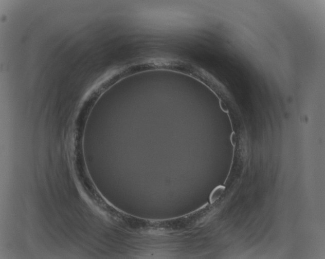 X0000086220730200704051239