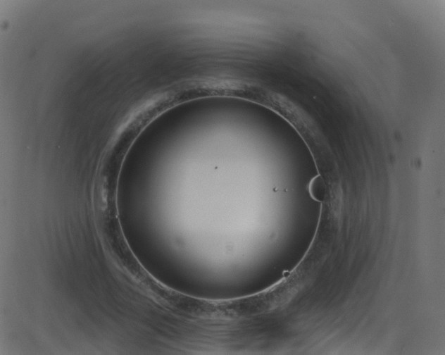 X0000086220731200704051239