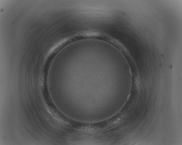 X0000086220732200704051239