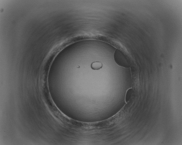 X0000086220736200704051239