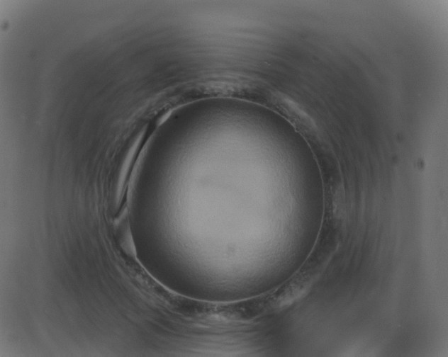 X0000086220737200704051239