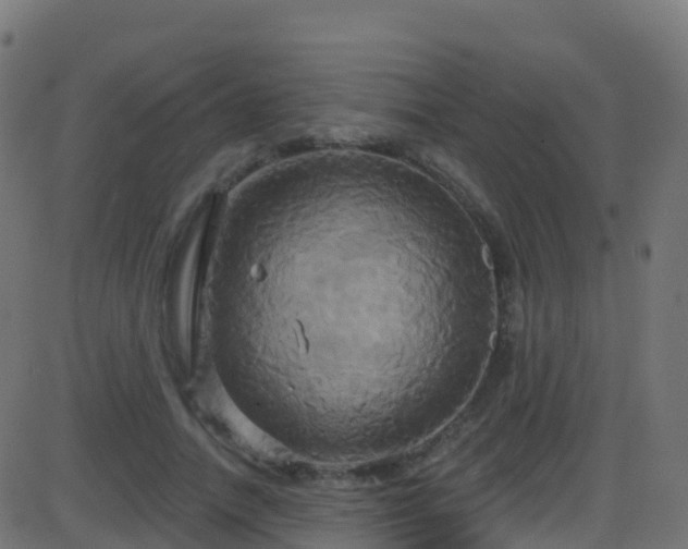 X0000086220738200704051240