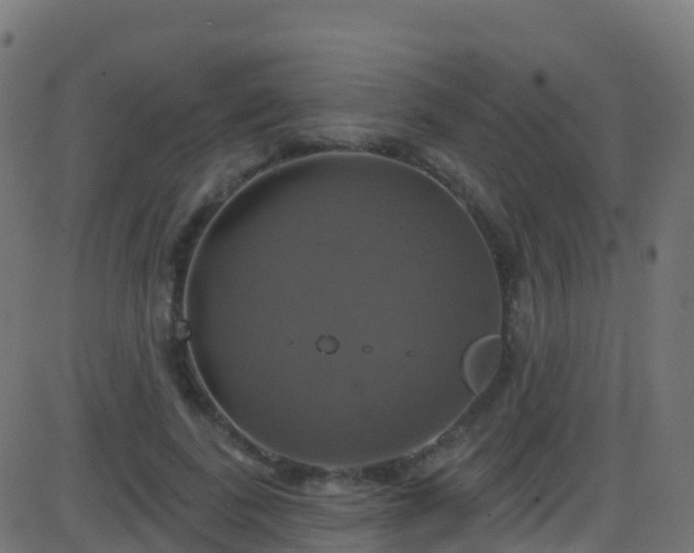 X0000086220739200704051240